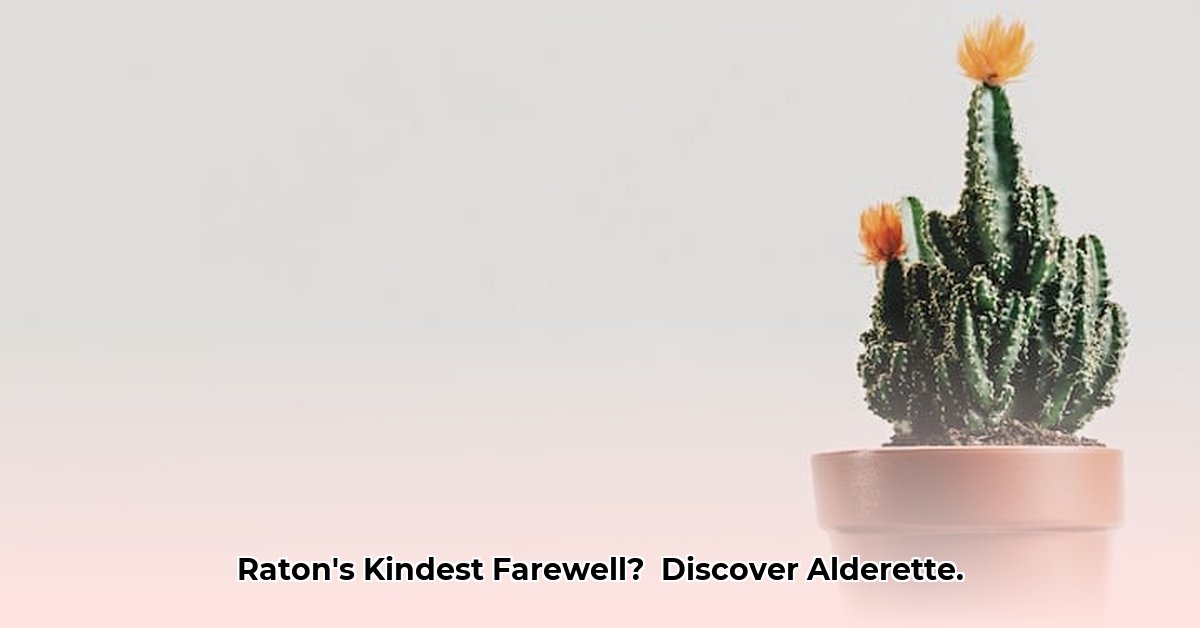 alderette-funeral-home-raton-nm